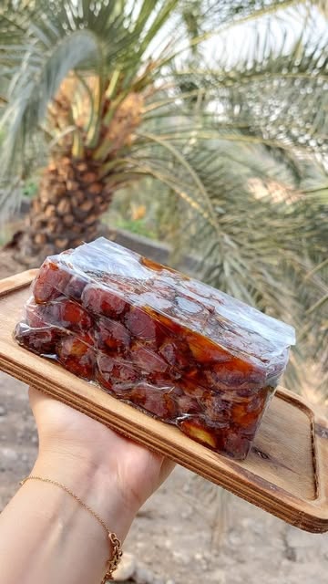 خرمای کبکاب خشت